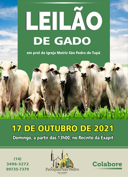 S�O PEDRO DE TUP� REALIZAR� LEIL�O DE GADO NO DIA 17 DE OUTUBRO