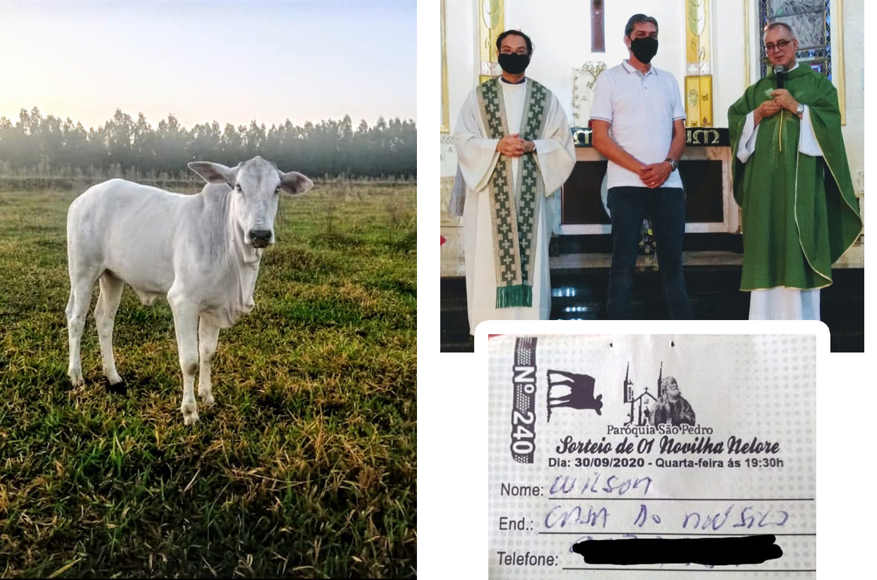 Ganhador da rifa da novilha � apresentado na S�o Pedro de Tup�