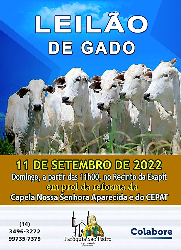 S�o Pedro de Tup� realizar� Leil�o de Gado no dia 11 de Setembro
