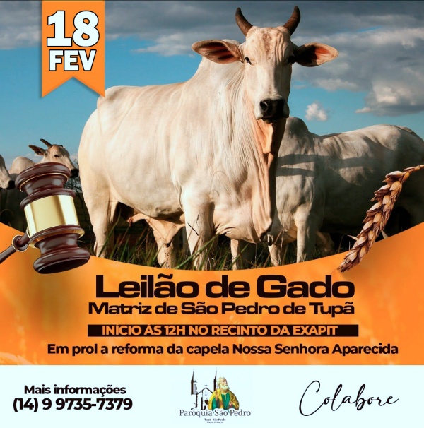 S�o Pedro de Tup� realizar� Leil�o de Gado no dia 12 de Junho