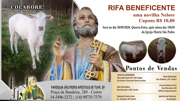 S�o Pedro Ap�stolo de Tup� promover� sorteio beneficente de uma Novilha Nelore